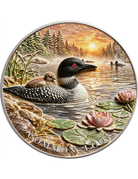 COMMON LOON North American Wildlife UHR Colorized 1 Oz Copper Medal Card 2026