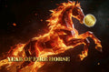 1/1000 oz Gold Year of the Fire Horse 2026 Liberia .9999 Gold Coin in Card sn1243